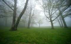 Desktop wallpaper. Nature. ID:29944