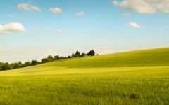 Desktop wallpaper. Nature. ID:29947