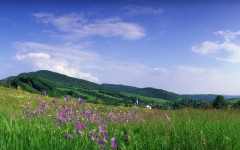 Desktop wallpaper. Nature. ID:29950