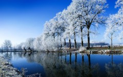 Desktop wallpaper. Nature. ID:29951