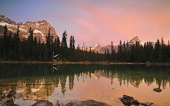 Desktop wallpaper. Nature. ID:29952