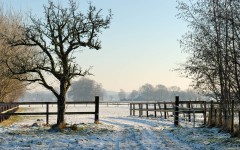 Desktop wallpaper. Nature. ID:29953