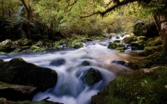 Desktop wallpaper. Nature. ID:29959