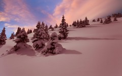 Desktop wallpaper. Nature. ID:50444