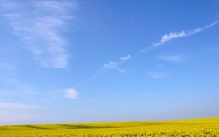 Desktop wallpaper. Nature. ID:29967