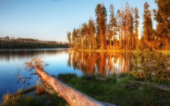Desktop wallpaper. Nature. ID:29972