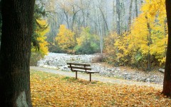 Desktop wallpaper. Nature. ID:29973
