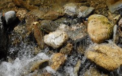 Desktop wallpaper. Nature. ID:29980