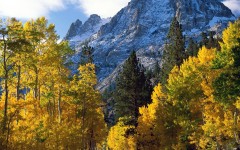 Desktop wallpaper. Nature. ID:29982