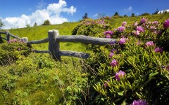Desktop wallpaper. Nature. ID:29988