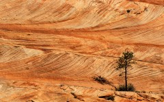 Desktop wallpaper. Nature. ID:29998