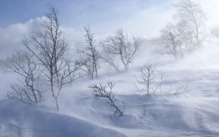 Desktop wallpaper. Nature. ID:30003
