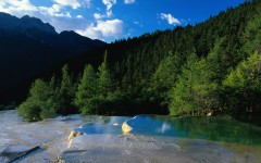 Desktop wallpaper. Nature. ID:30009