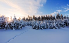 Desktop wallpaper. Nature. ID:30010