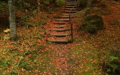 Desktop wallpaper. Nature. ID:30021