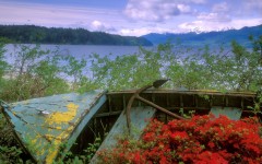 Desktop wallpaper. Nature. ID:30028