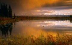 Desktop wallpaper. Nature. ID:30036