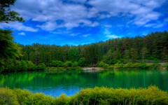 Desktop wallpaper. Nature. ID:30037