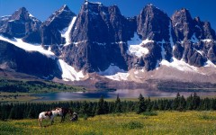 Desktop wallpaper. Nature. ID:30041