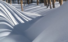 Desktop wallpaper. Nature. ID:30045