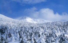 Desktop wallpaper. Nature. ID:30046