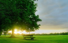 Desktop wallpaper. Nature. ID:30049