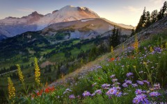 Desktop wallpaper. Nature. ID:30054