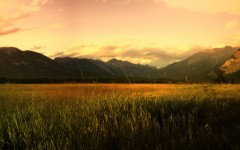 Desktop wallpaper. Nature. ID:30060