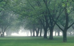 Desktop wallpaper. Nature. ID:30062