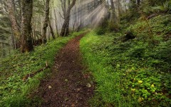 Desktop wallpaper. Nature. ID:30064