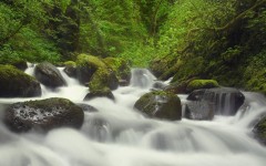 Desktop wallpaper. Nature. ID:30084