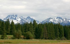 Desktop wallpaper. Nature. ID:30085