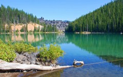 Desktop wallpaper. Nature. ID:30088