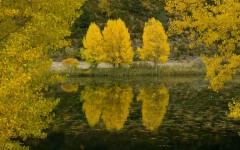 Desktop wallpaper. Nature. ID:30097