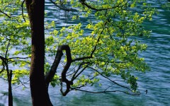 Desktop wallpaper. Nature. ID:30098