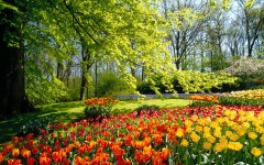 Desktop wallpaper. Nature. ID:30102
