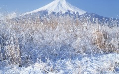 Desktop wallpaper. Nature. ID:30104