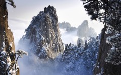 Desktop image. Nature. ID:30118