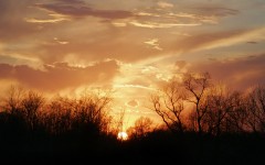 Desktop image. Nature. ID:30119
