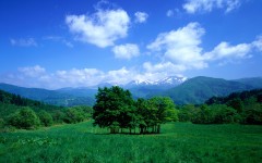 Desktop wallpaper. Nature. ID:50793
