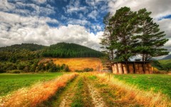Desktop wallpaper. Nature. ID:50794