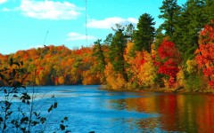 Desktop wallpaper. Nature. ID:30147