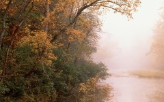 Desktop wallpaper. Nature. ID:30151