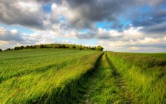 Desktop wallpaper. Nature. ID:50822