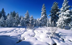 Desktop wallpaper. Nature. ID:30157