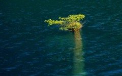 Desktop wallpaper. Nature. ID:30174