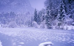Desktop wallpaper. Nature. ID:30185