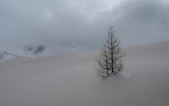 Desktop wallpaper. Nature. ID:50832