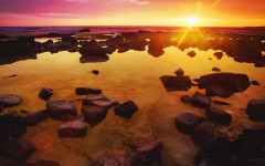 Desktop wallpaper. Nature. ID:30196