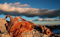 Desktop image. Nature. ID:30204